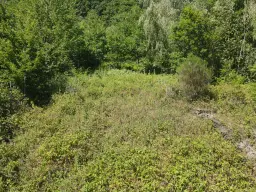 Voormalig eigendomswijngaardperceel van 1.271 m² in Zell, Cochem - Duitsland