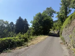 Voormalig eigendomswijngaardperceel van 1.271 m² in Zell, Cochem - Duitsland