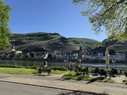 Voormalig eigendomswijngaardperceel van 1.271 m² in Zell, Cochem - Duitsland