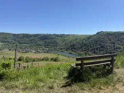 Voormalig eigendomswijngaardperceel van 1.271 m² in Zell, Cochem - Duitsland