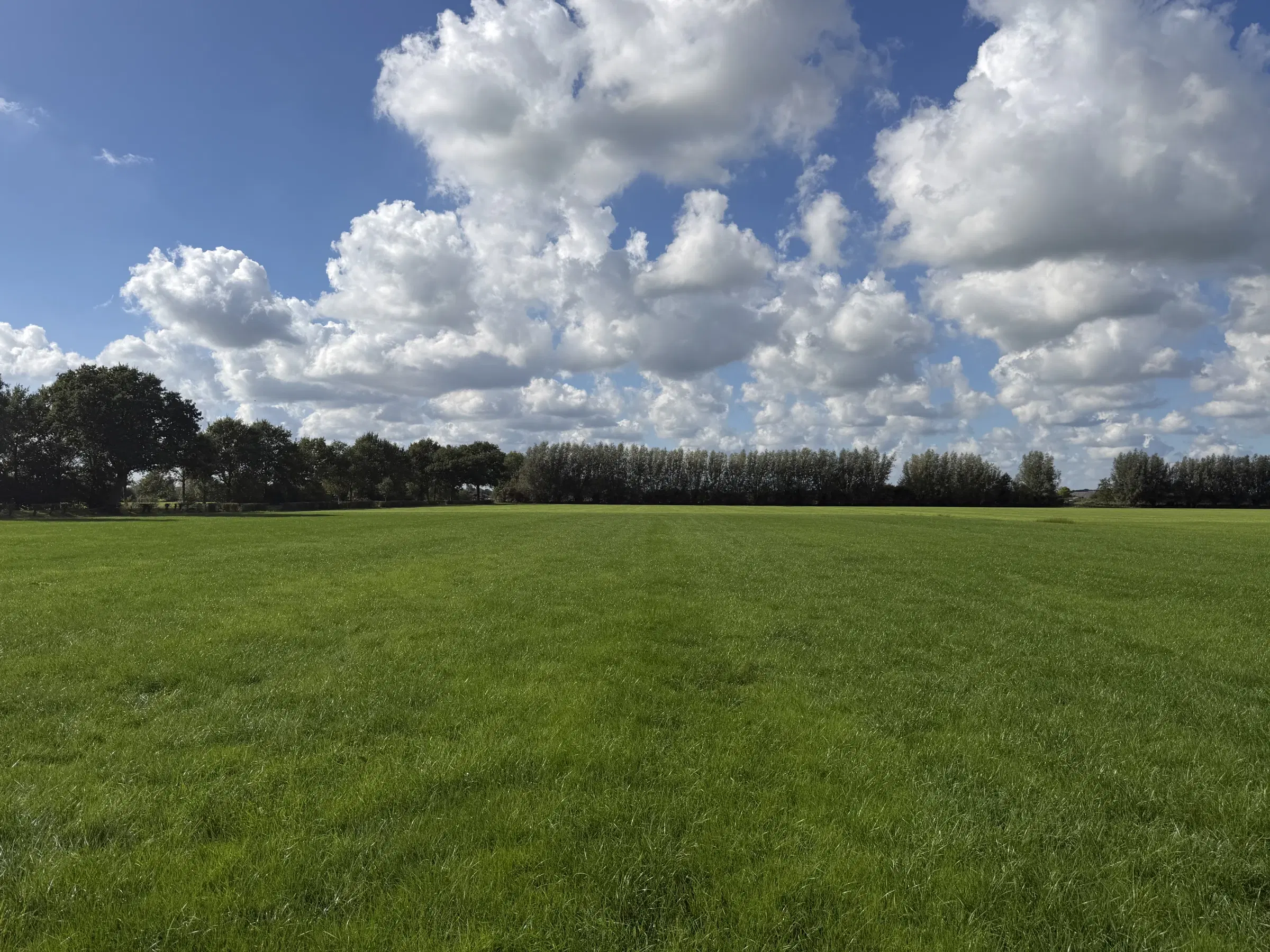 INSCHRIJVING | Perceel grond aan de Hoevenallee, hoek Kraaigraafstraat te Terwolde