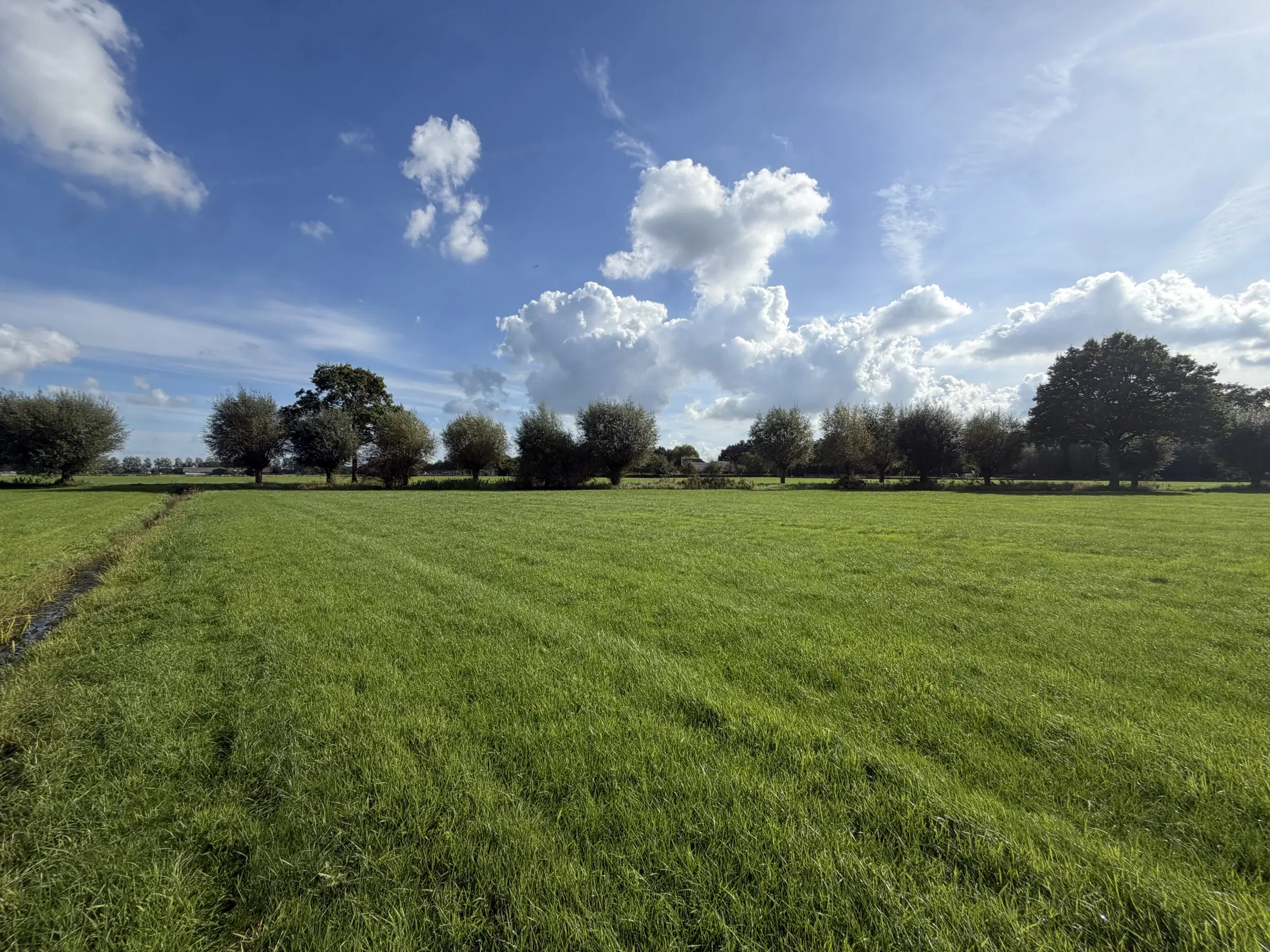 INSCHRIJVING | Perceel grond aan de Hoevenallee, hoek Kraaigraafstraat te Terwolde