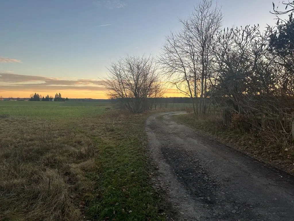 PARTNERVEILING - Tschernitz (Landkreis Spree-Neiße), Waldstraße Flurstuck 111 (Duitsland)