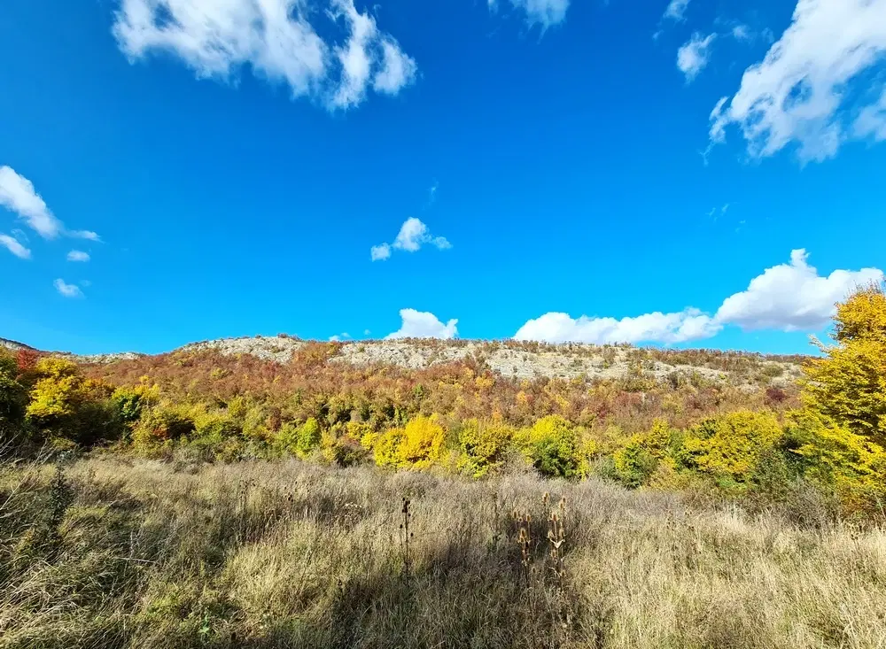 174.932 m2 bosgrond in de regio Belogradchik - Bulgarije