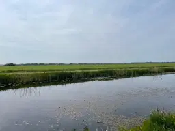 Kiel-Windeweer, Nieuwe Compagnie 13 en 19A