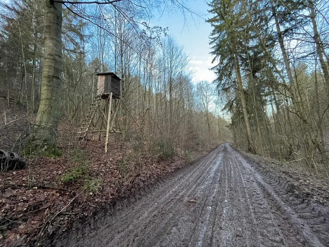 Perceel grond van 3.320 m2 met jachthut in Friedrichroda - Duitsland