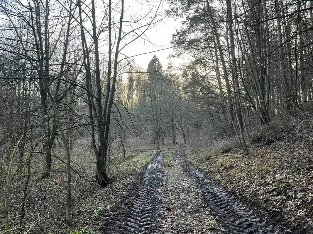 Perceel grond van 3.320 m2 met jachthut in Friedrichroda - Duitsland