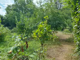 Villa op 1.8 ha perceel, tuin, bos, sauna, bron + bedrijf in Sonneberg - Duitsland
