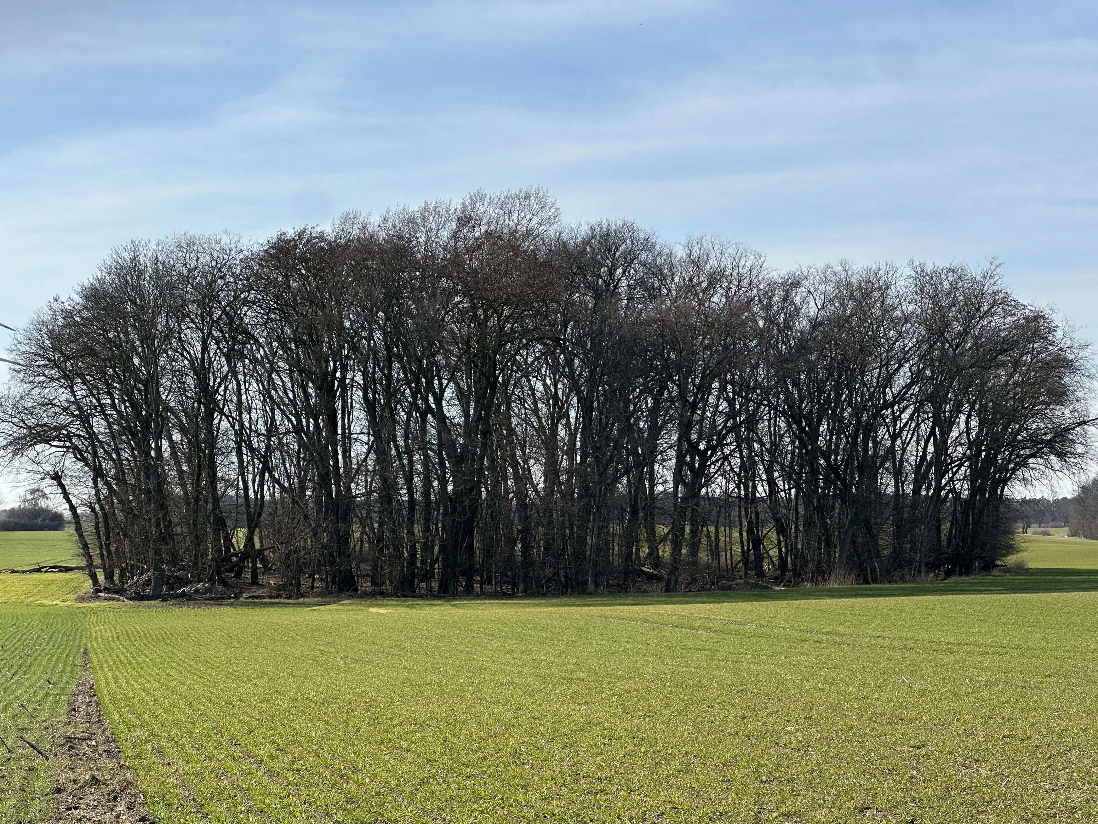 5 percelen van totaal 5.659 m² in Unterwellenborn, Thüringen - Duitsland
