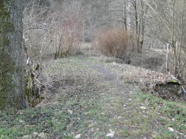 Herontwikkelingsland op 40.000 m² grond nabij Erfurt - Dösnitz - Duitsland