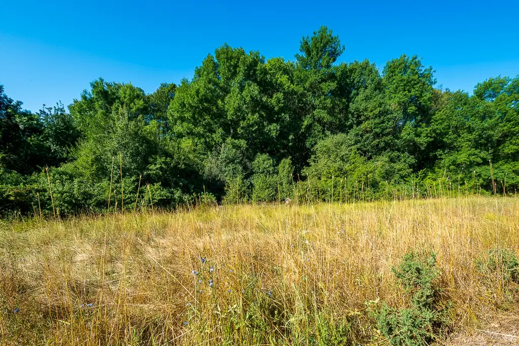 6.100 m² Bosgrond - Kula, Shipikova Mahala - Bulgarije