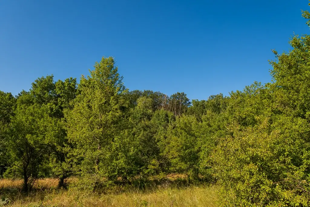 6.100 m² Bosgrond - Kula, Shipikova Mahala - Bulgarije
