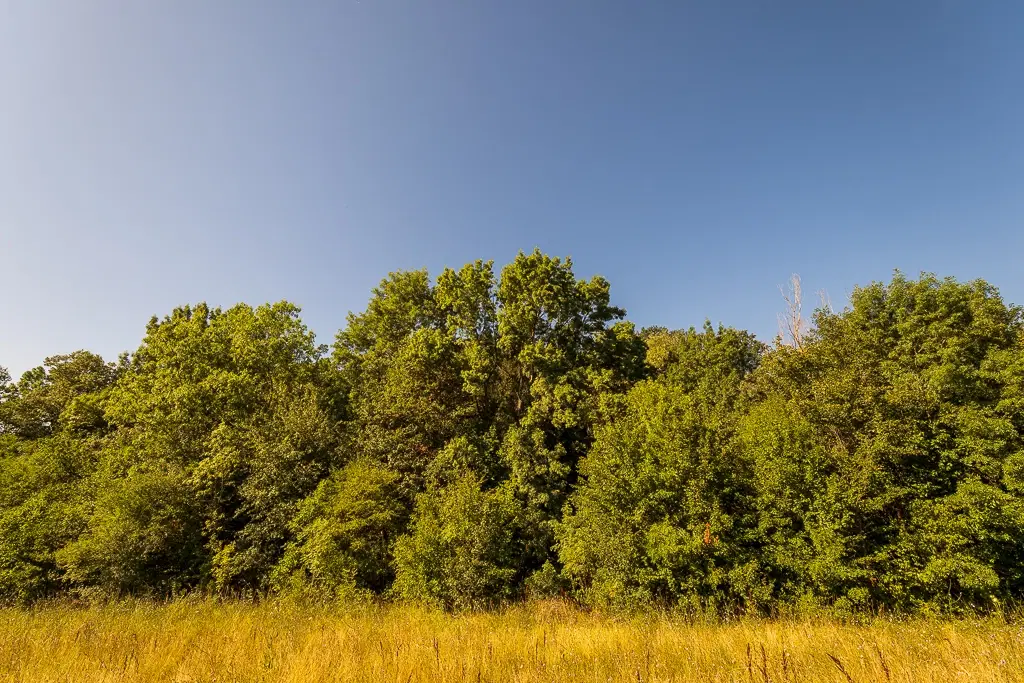 6.100 m² Bosgrond - Kula, Shipikova Mahala - Bulgarije