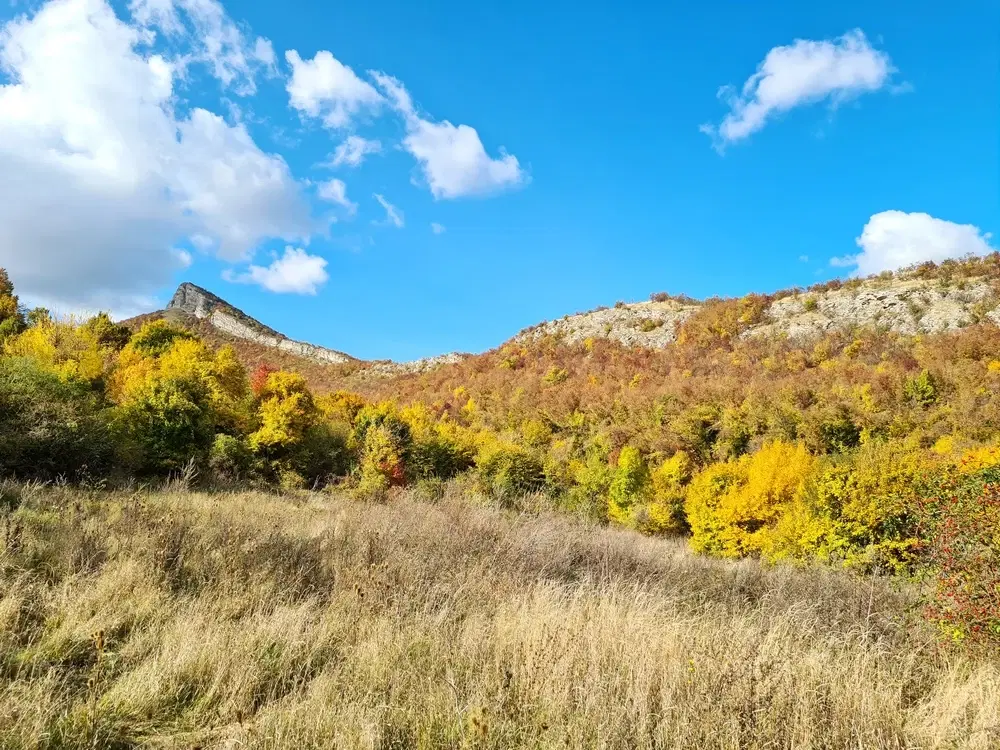 6.513 m² bosgrond in de regio Belogradchik - Bulgarije