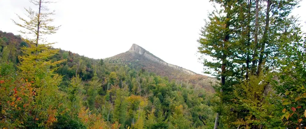 6.513 m² bosgrond in de regio Belogradchik - Bulgarije