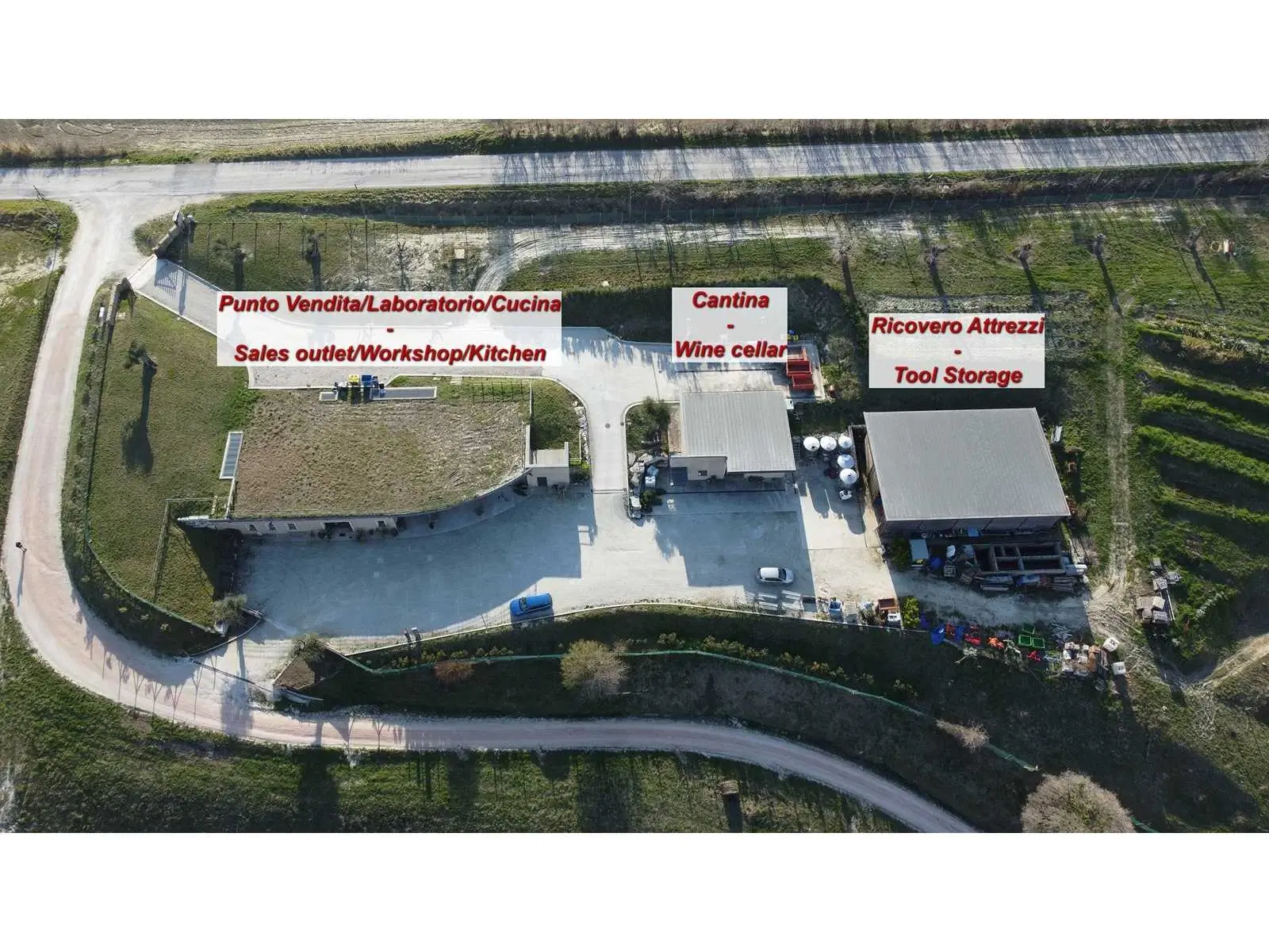 Boerderij in Cartoceto (PU) met kelder, olijfgaarden en land