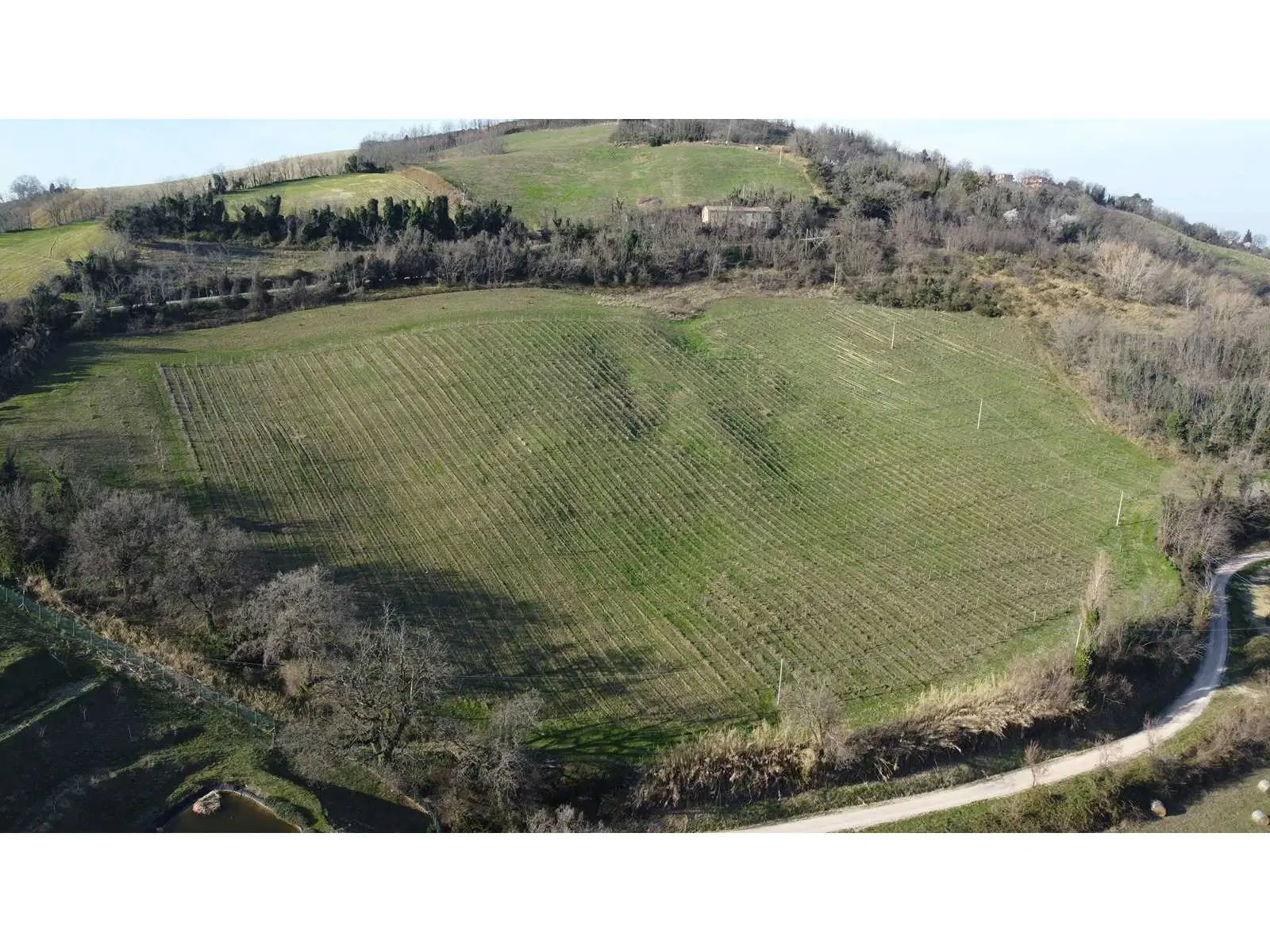 Boerderij in Cartoceto (PU) met kelder, olijfgaarden en land