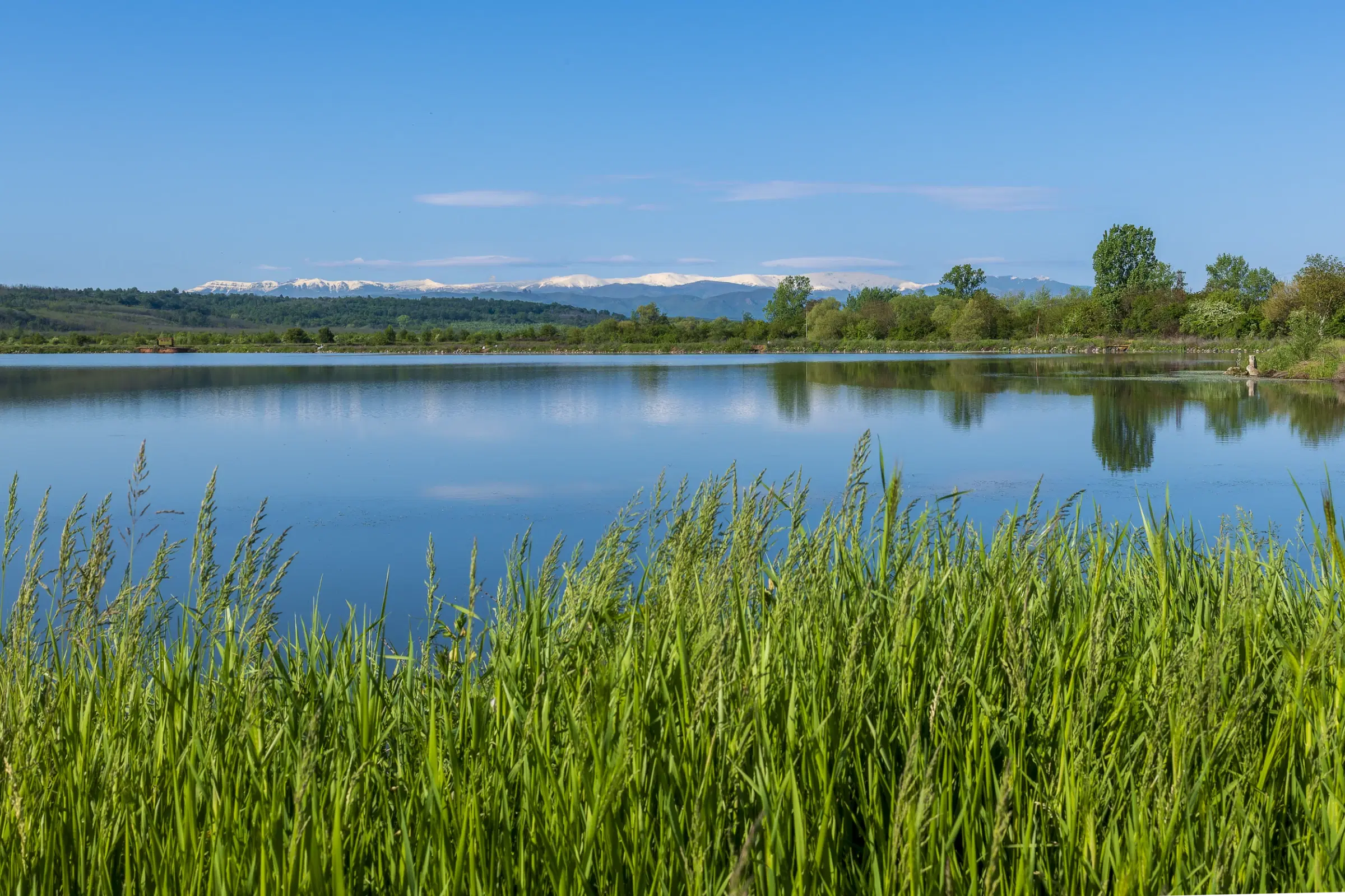 Bos 6.347 m² met uitzicht op het meer + toegang via geasfalteerde weg in de regio Montana - Bulgarije
