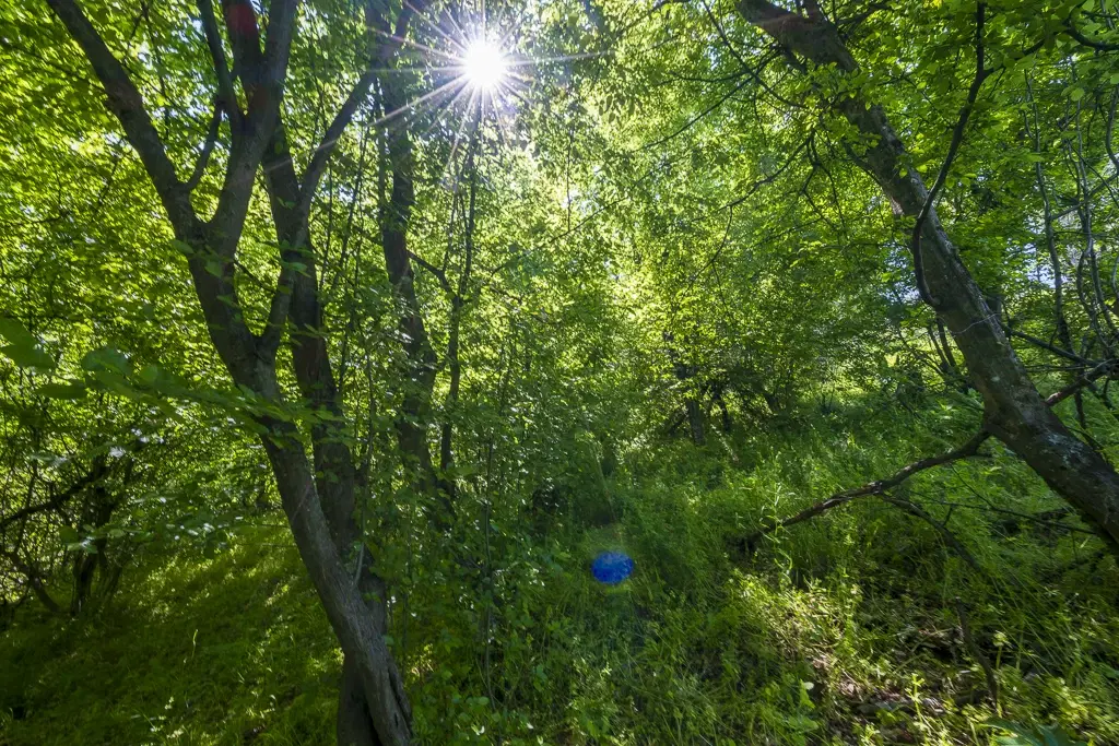 Bos 6.347 m² met uitzicht op het meer + toegang via geasfalteerde weg in de regio Montana - Bulgarije