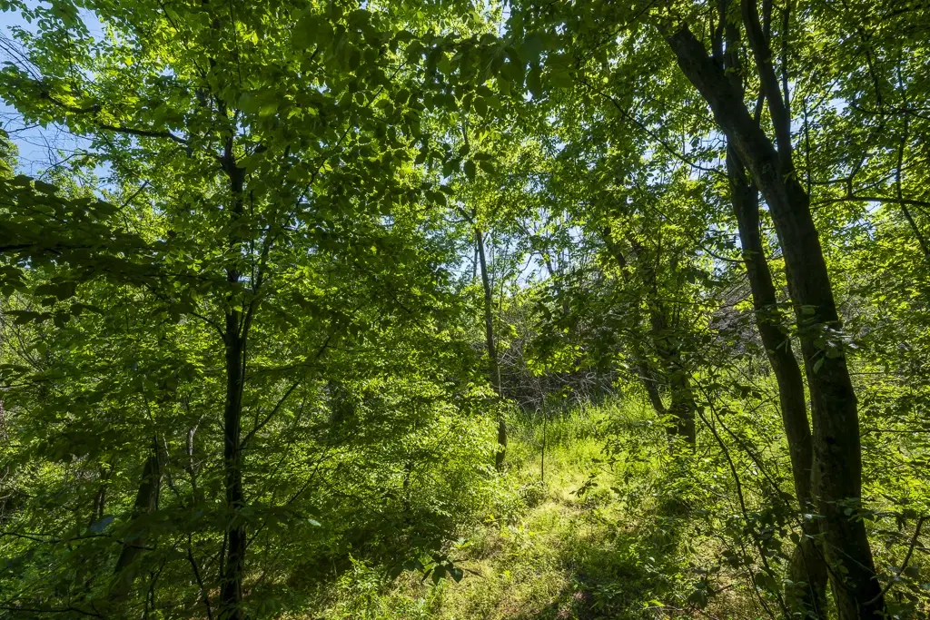 Bos 6.347 m² met uitzicht op het meer + toegang via geasfalteerde weg in de regio Montana - Bulgarije