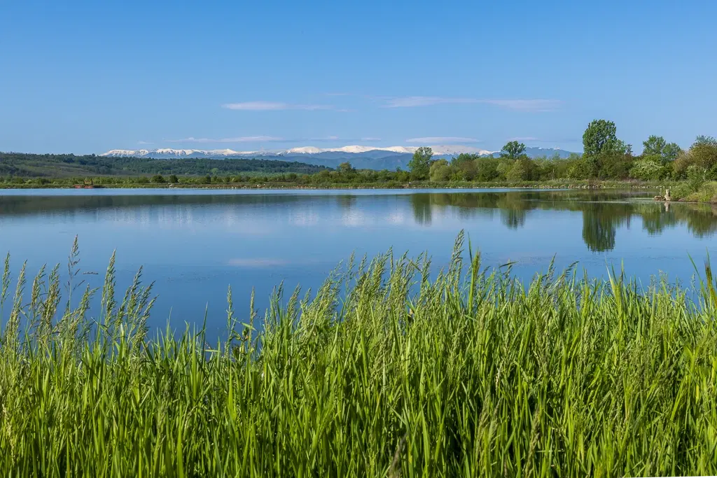 Bos 6.347 m² met uitzicht op het meer + toegang via geasfalteerde weg in de regio Montana - Bulgarije