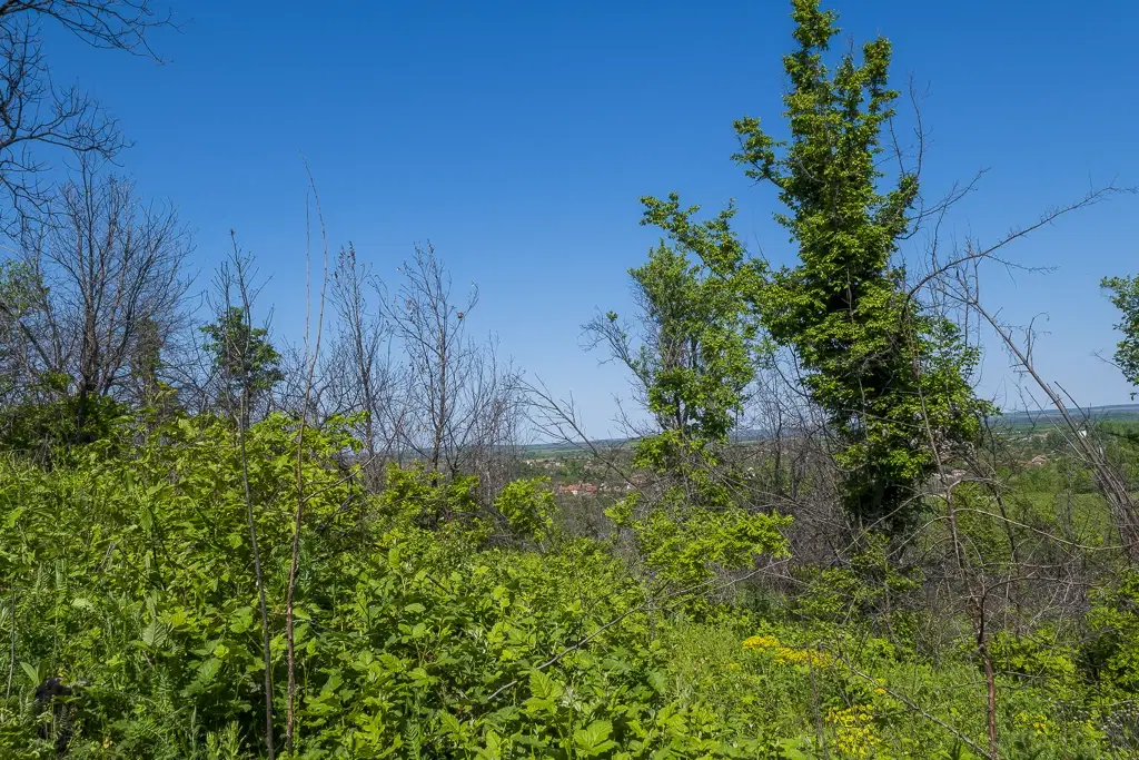 Bos 6.347 m² met uitzicht op het meer + toegang via geasfalteerde weg in de regio Montana - Bulgarije