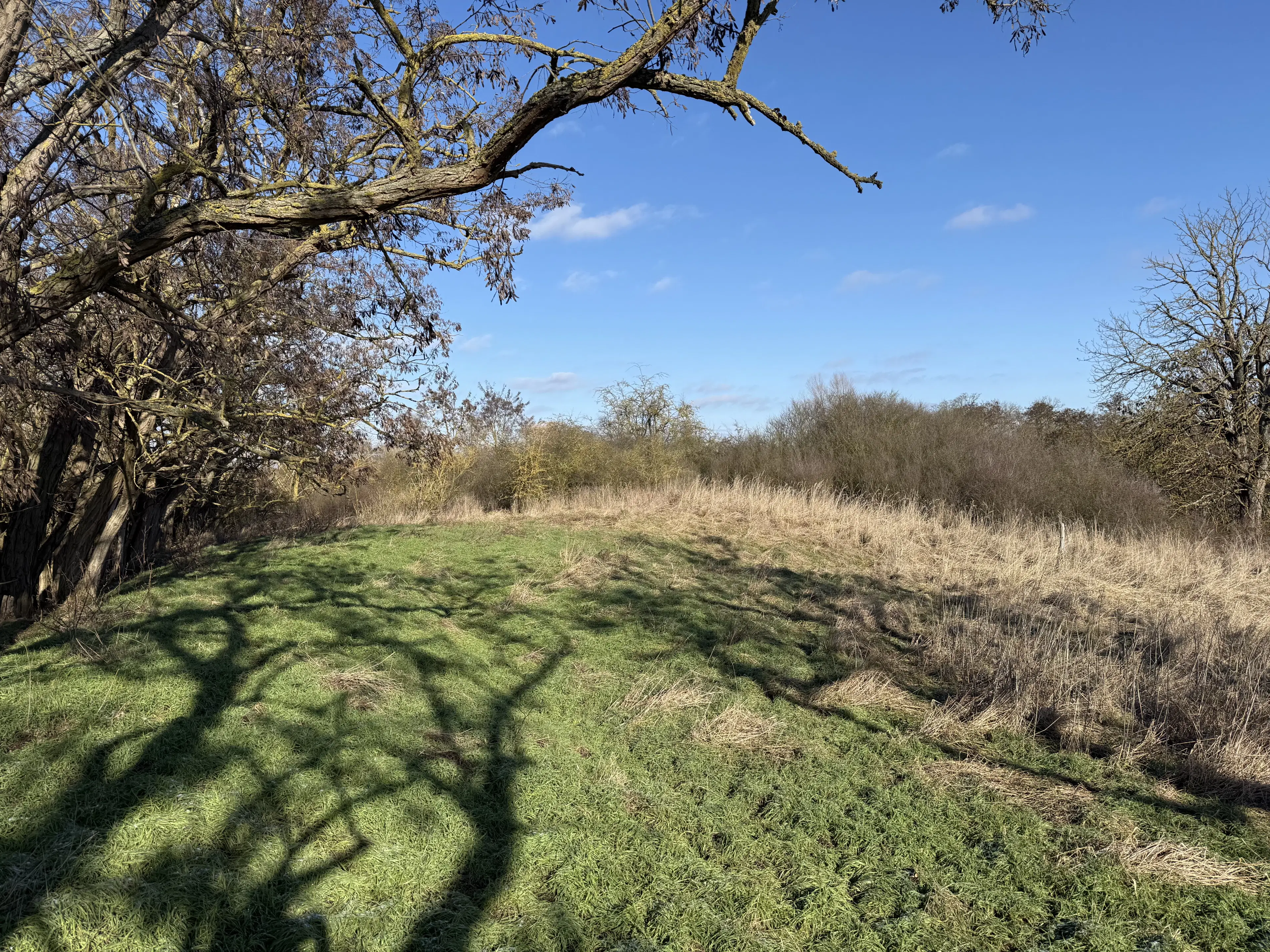 1.120 m² eigendomsperceel in Emden - Duitsland