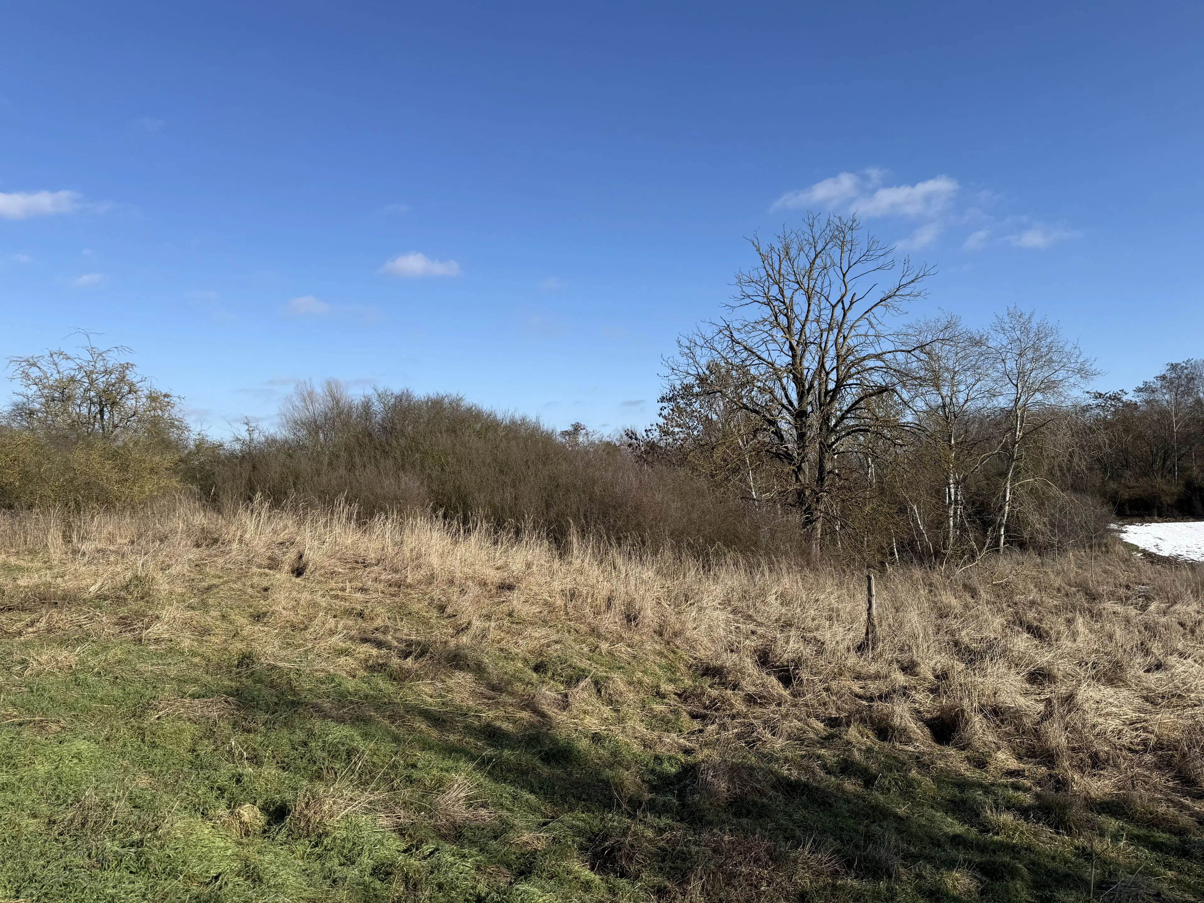 1.120 m² eigendomsperceel in Emden - Duitsland