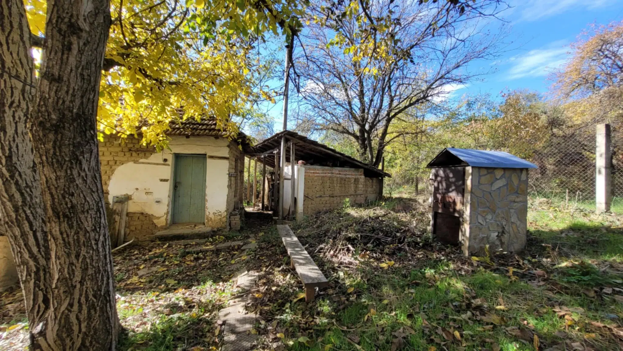 Pand in Staropatitsa, Vidin - Bulgarije