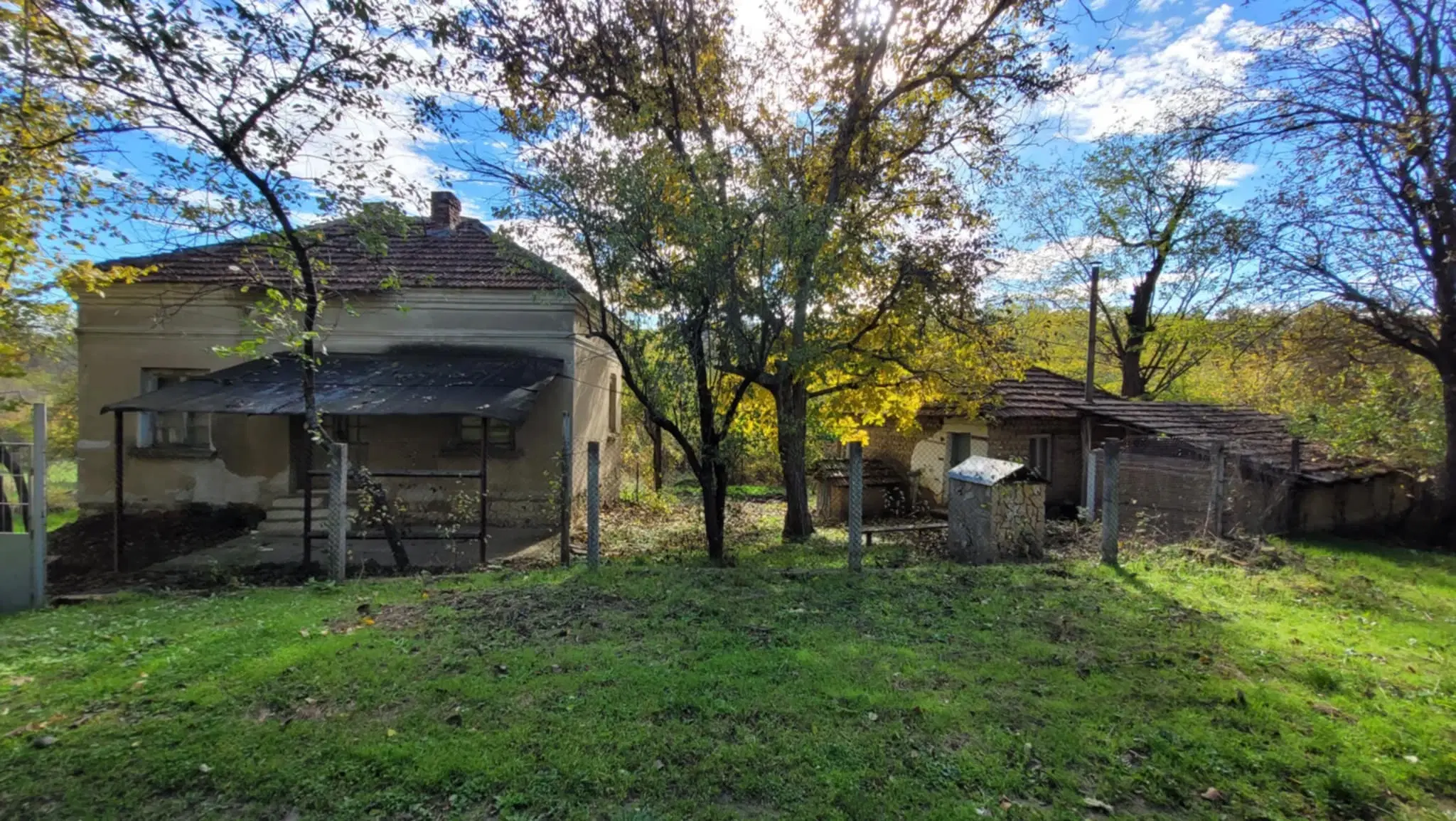 Pand in Staropatitsa, Vidin - Bulgarije