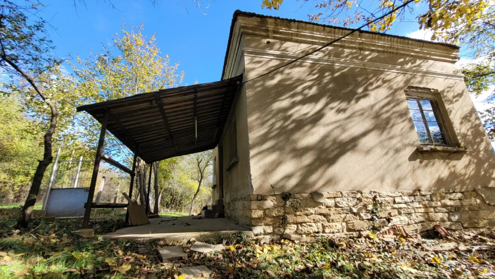Pand in Staropatitsa, Vidin - Bulgarije