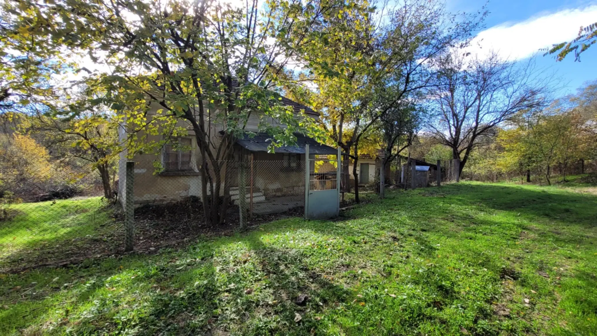 Pand in Staropatitsa, Vidin - Bulgarije