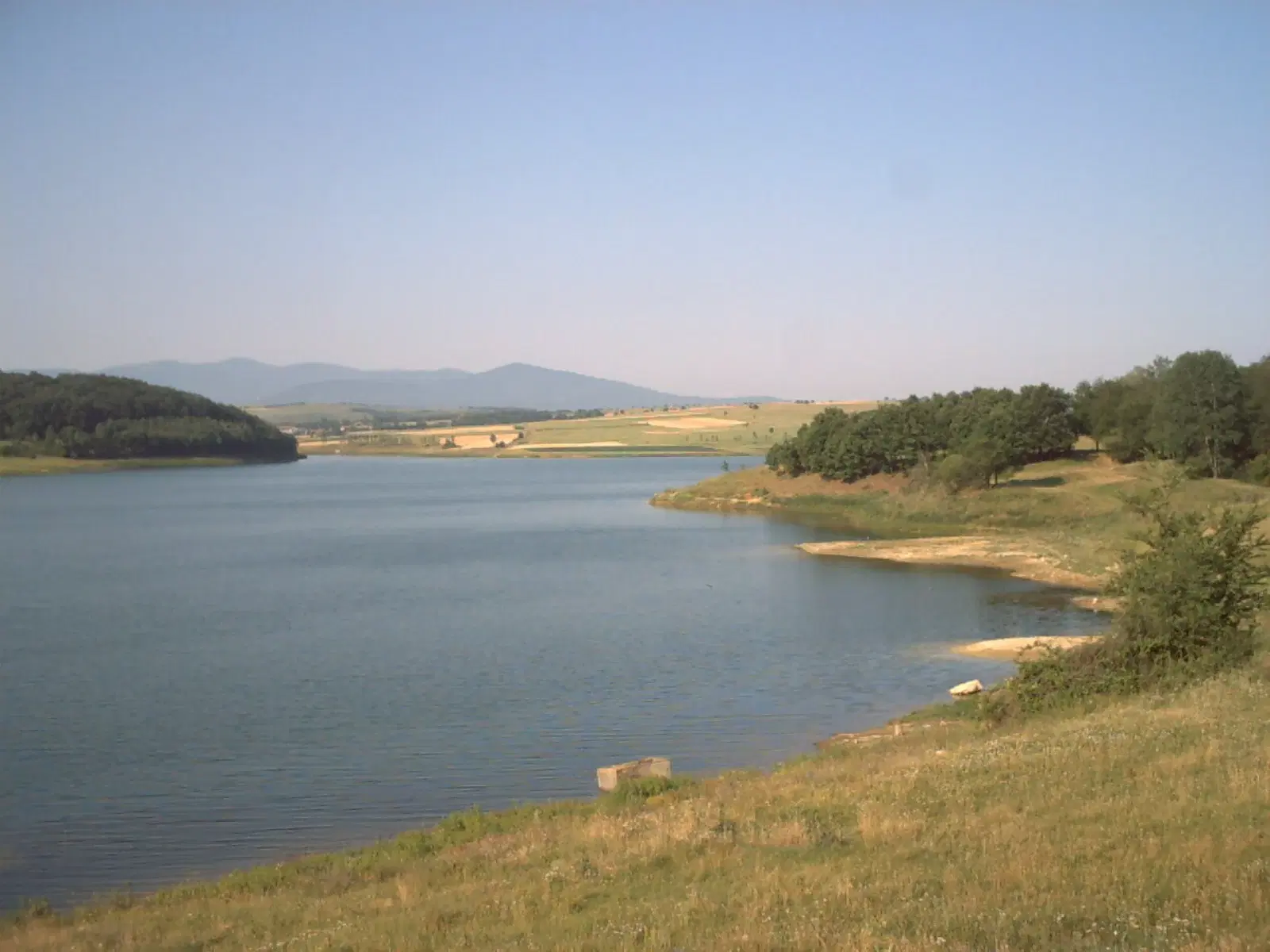 Pand in Staropatitsa, Vidin - Bulgarije