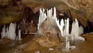 Loofbos 113.324 m² in Gorno Ozirovo, Varshets Montana - Bulgarije