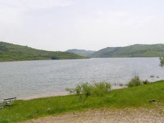 Landbouwgrond in Tolovitsa, regio Vidin - Bulgarije