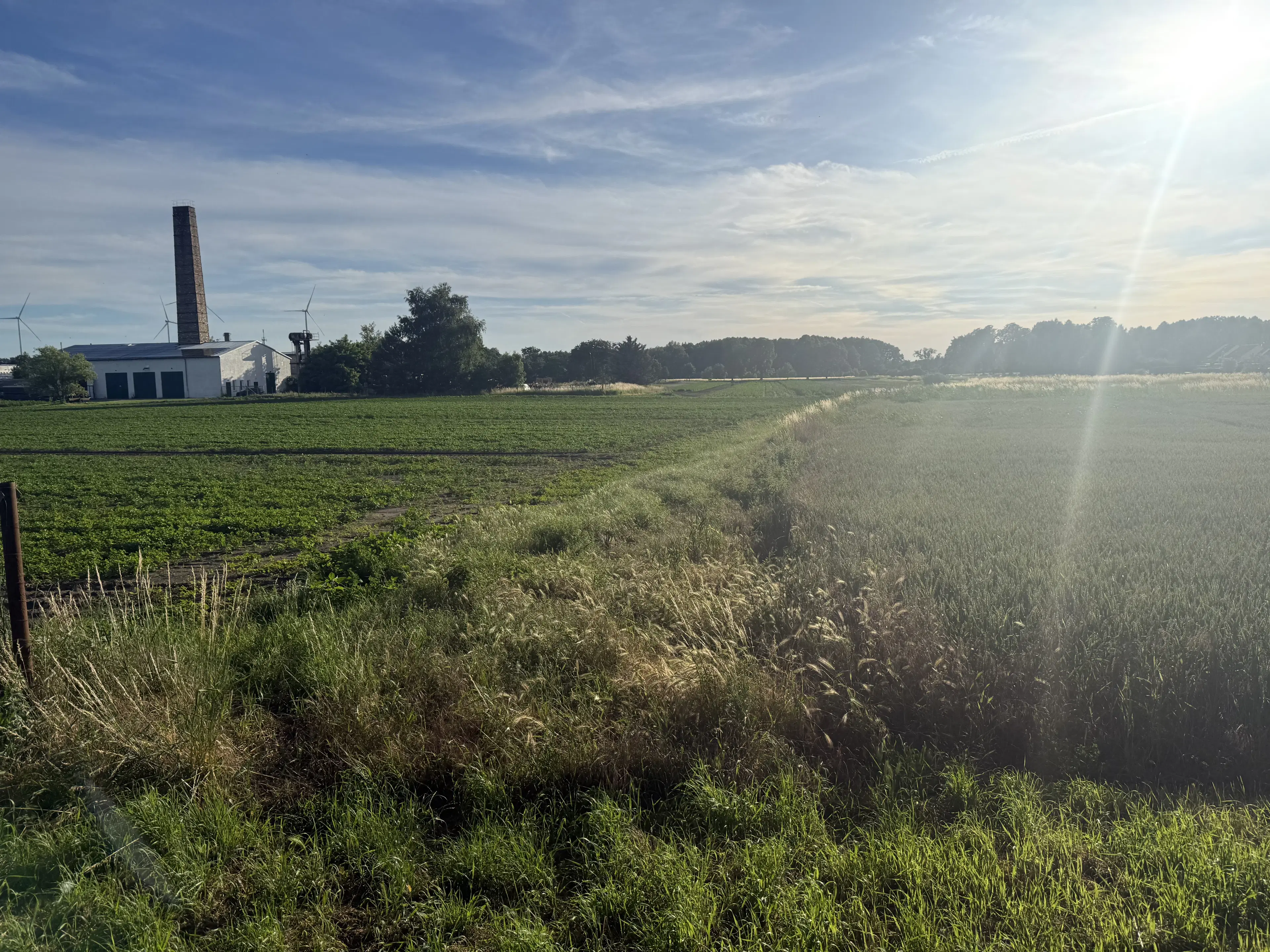 Eigendomsperceel van 600 m² in Gusow, Brandenburg - Duitsland