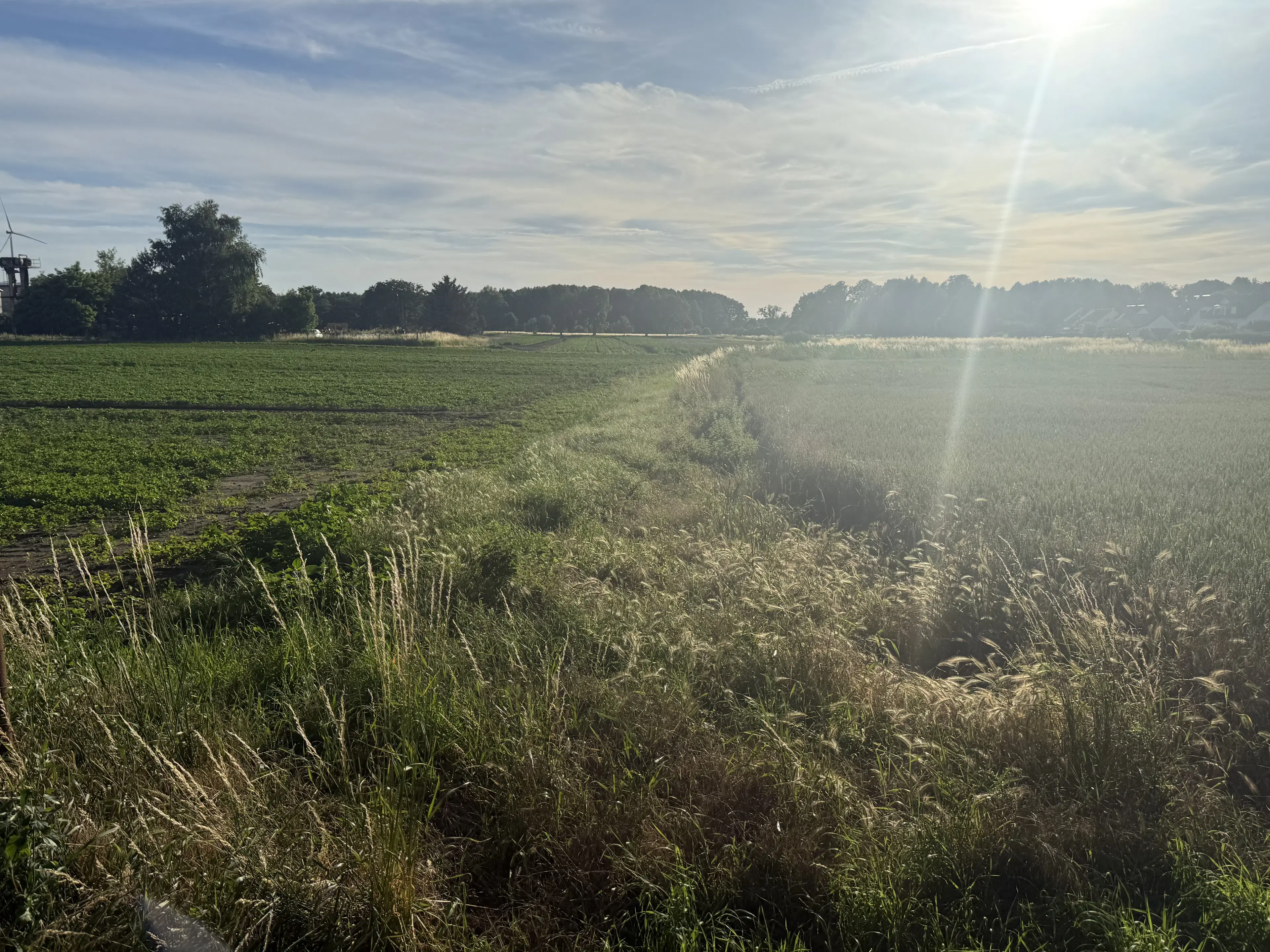 Eigendomsperceel van 600 m² in Gusow, Brandenburg - Duitsland