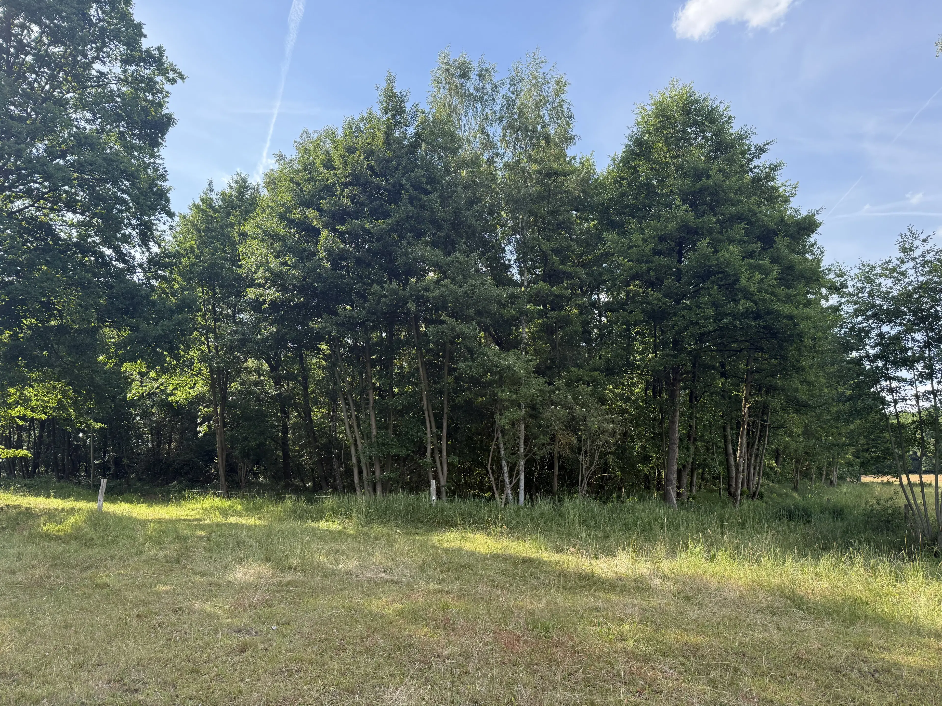Terrein van 1.45 hectare nabij de Elbe, Bad Schmiedeberg - Duitsland