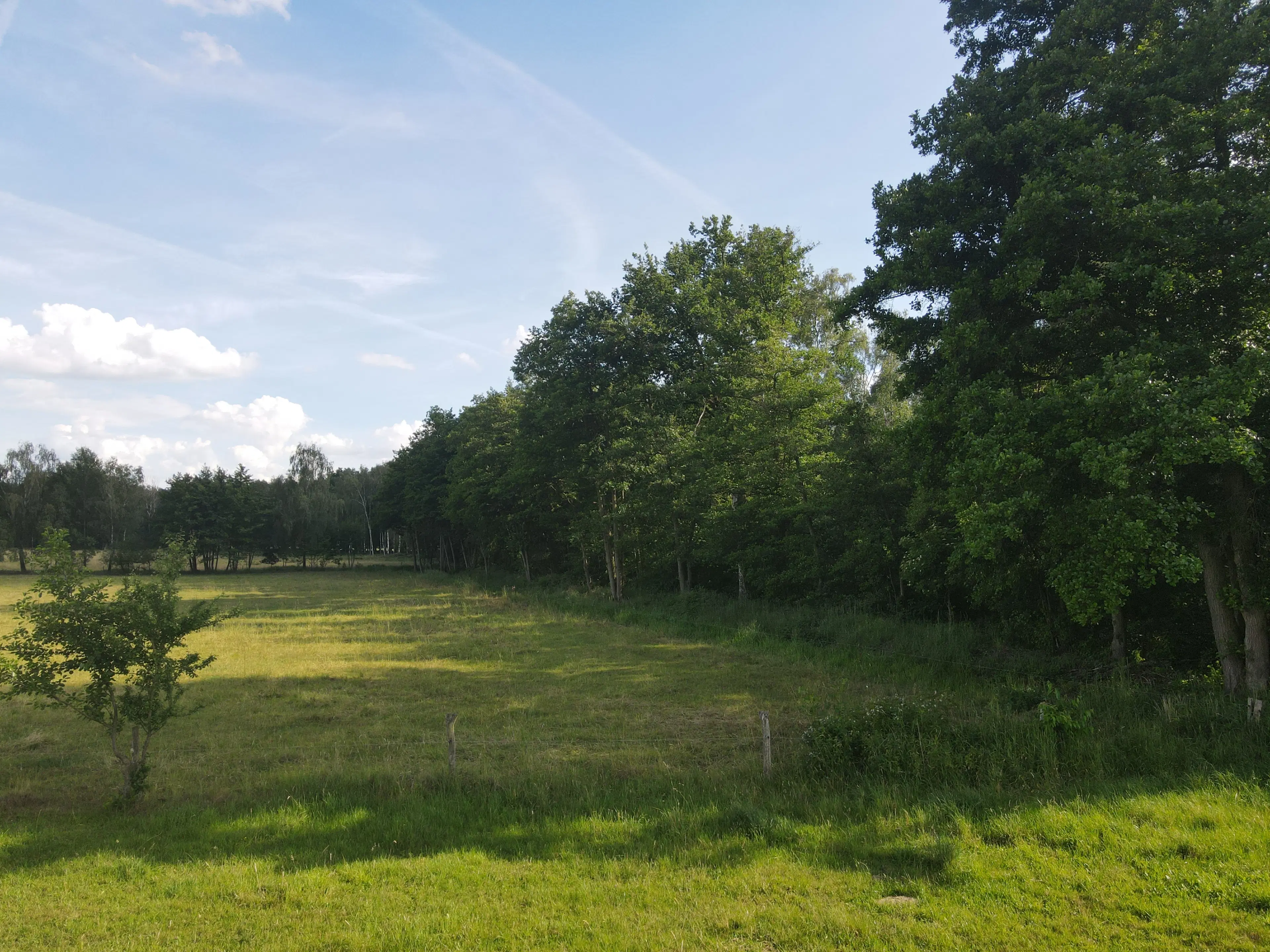 Terrein van 1.45 hectare nabij de Elbe, Bad Schmiedeberg - Duitsland