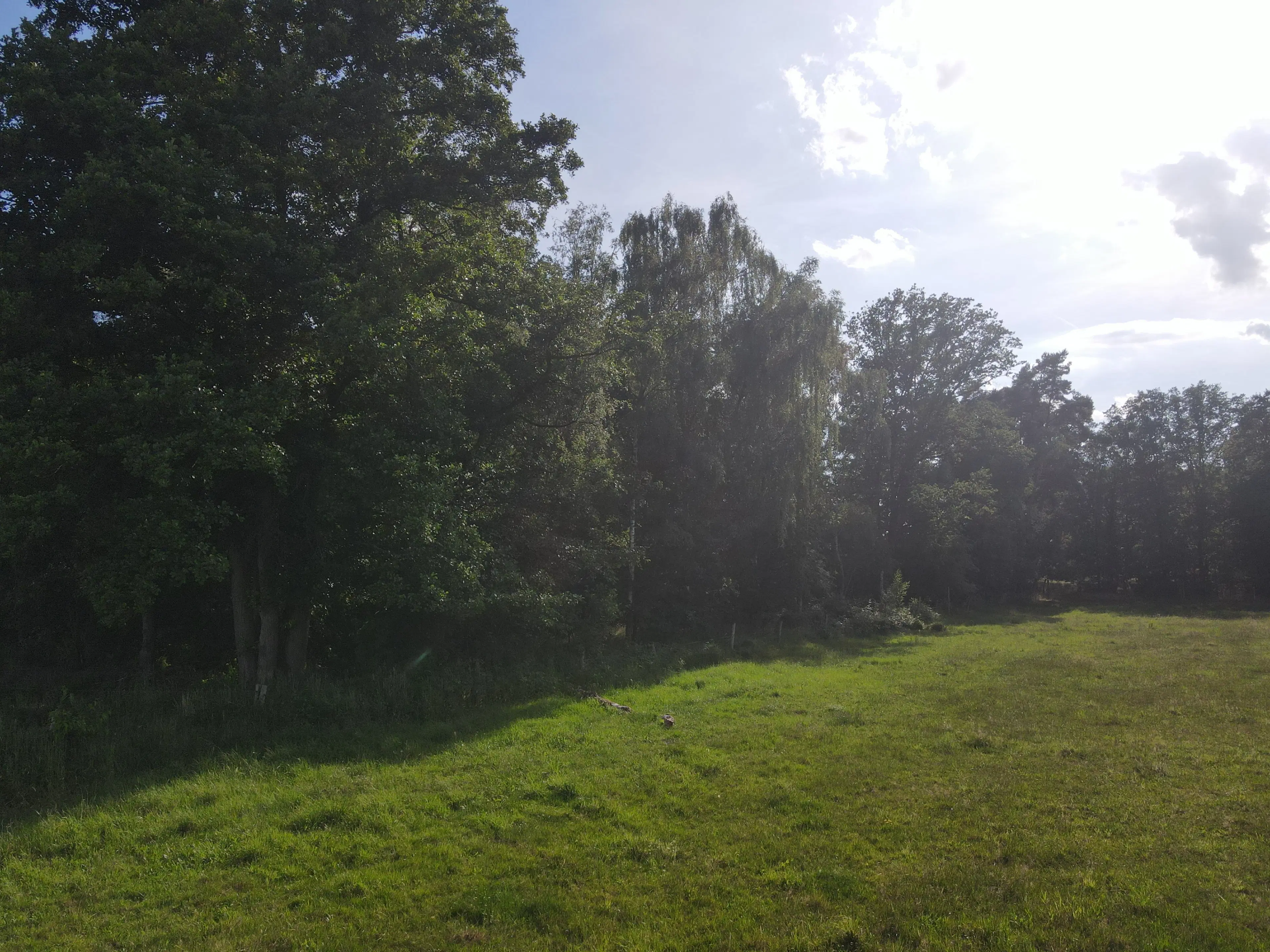 Terrein van 1.45 hectare nabij de Elbe, Bad Schmiedeberg - Duitsland