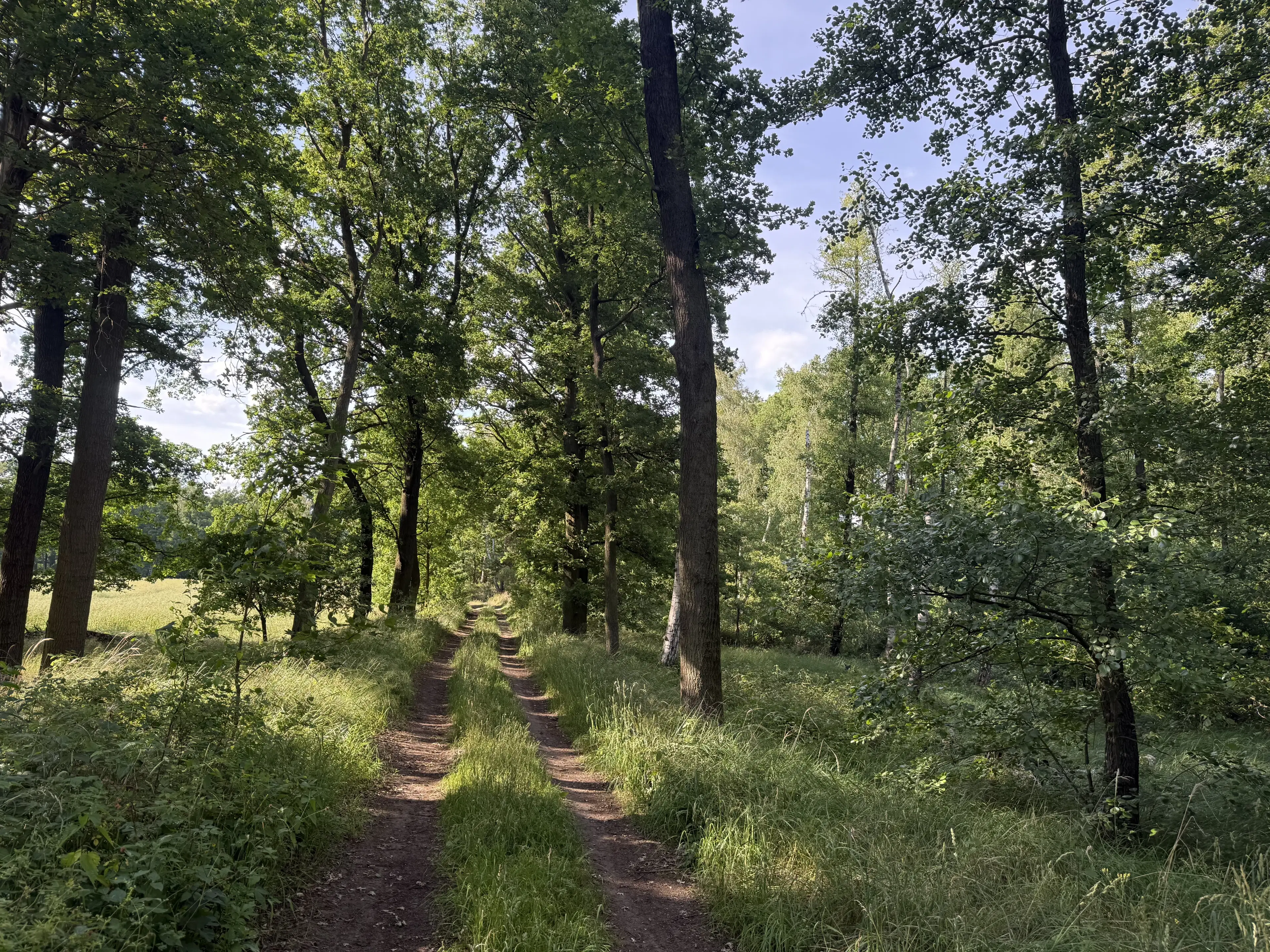 Terrein van 1.45 hectare nabij de Elbe, Bad Schmiedeberg - Duitsland