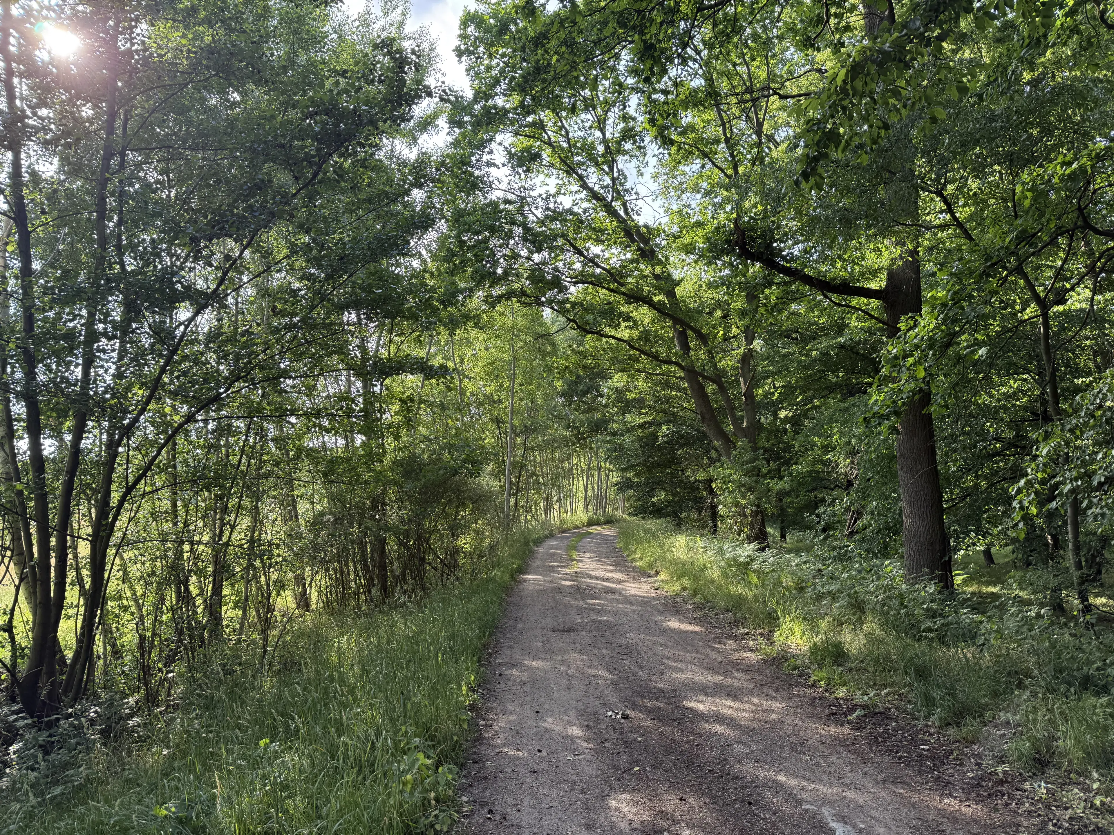 Terrein van 1.45 hectare nabij de Elbe, Bad Schmiedeberg - Duitsland