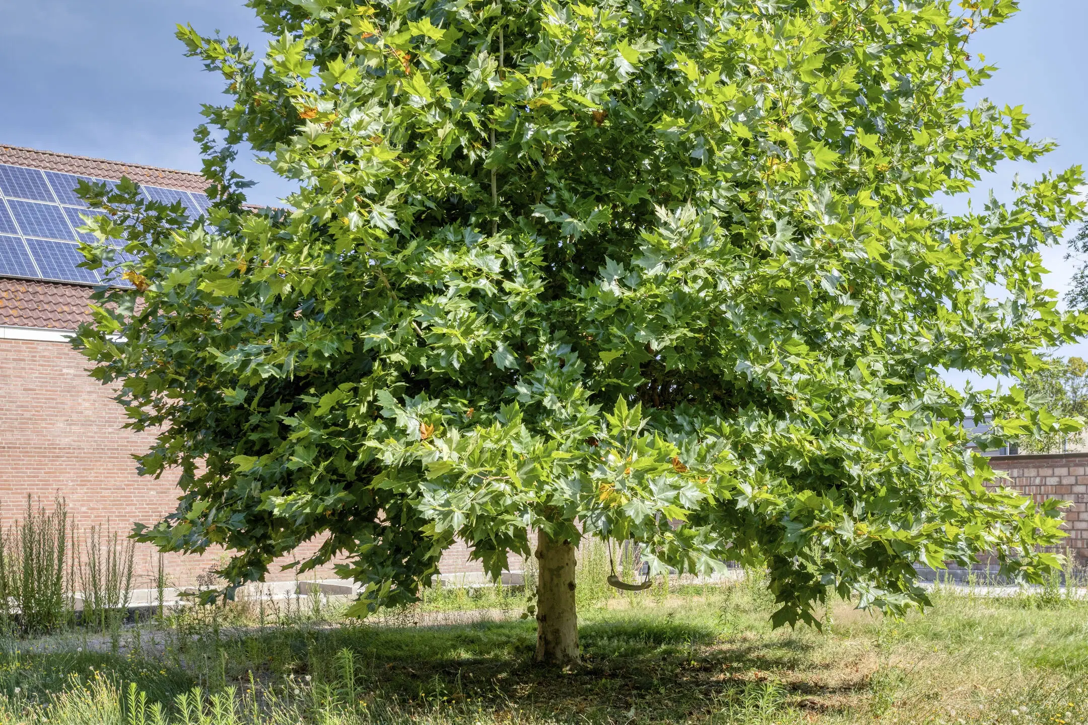Susteren, Prins Clauslaan 6