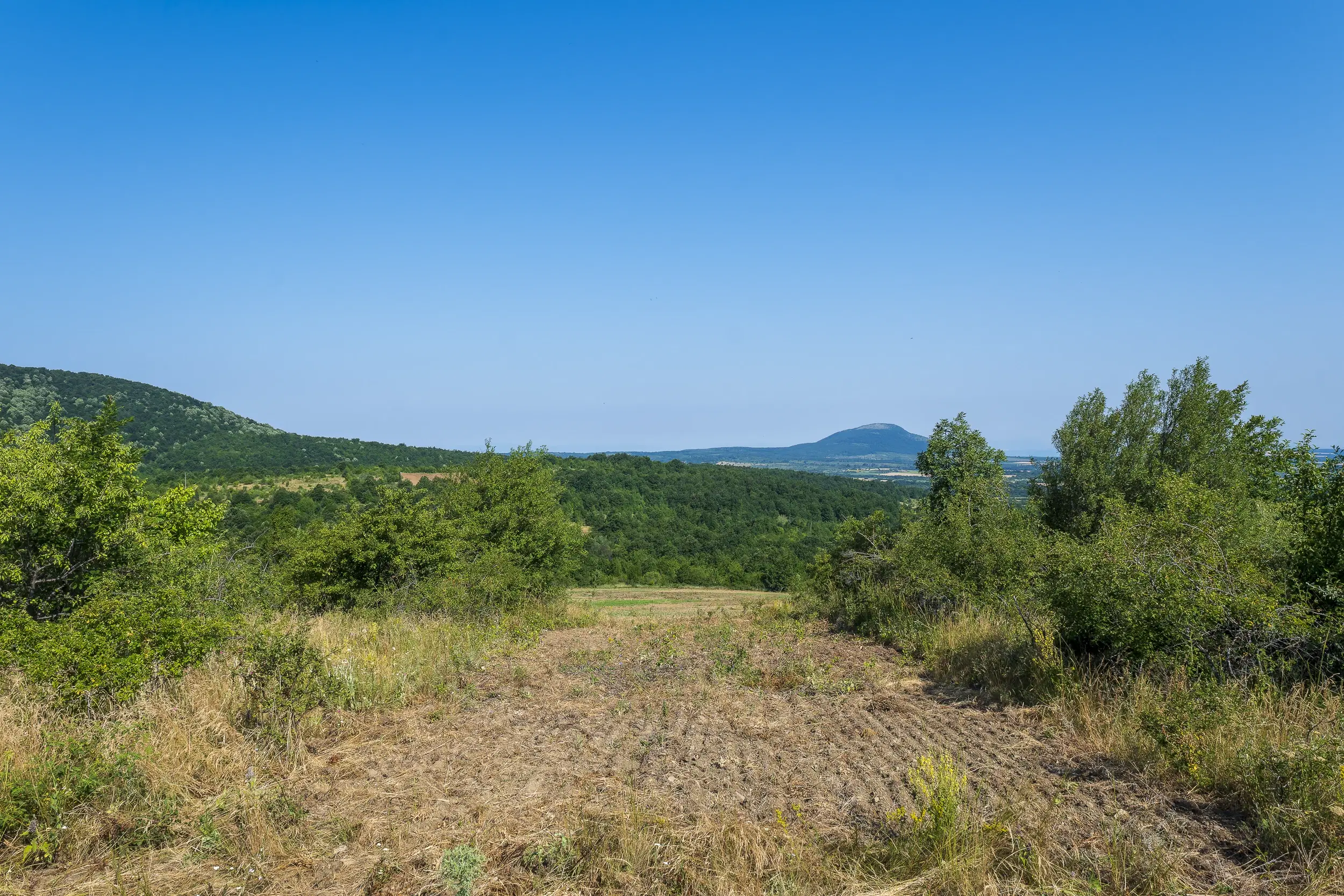 23.781 m² gemengd loofbos in de regio Vidin - Bulgarije