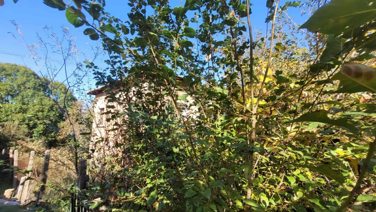 Huis en 790 m² grond en bijgebouwen in Kireevo - Bulgarije
