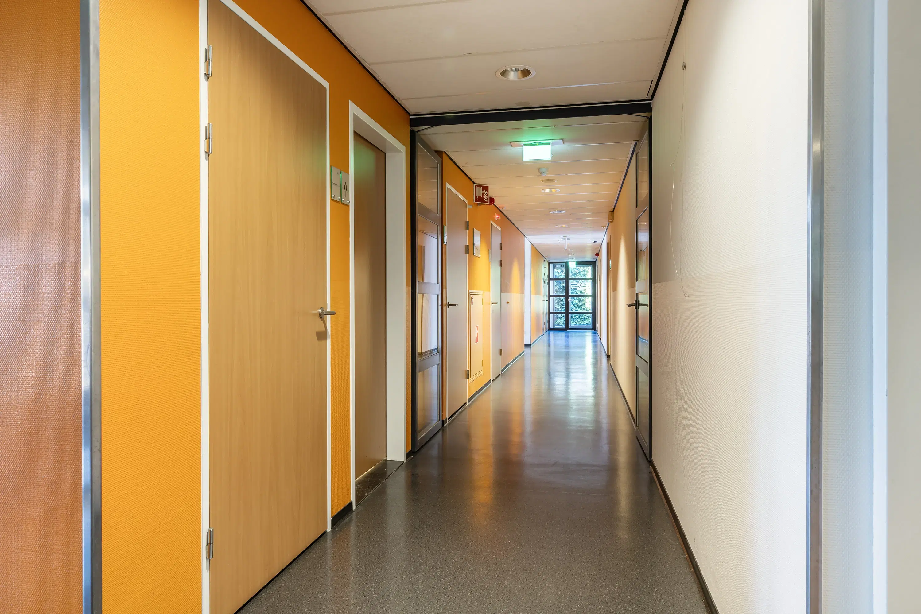 Wolvega, Grote Weegbree 2