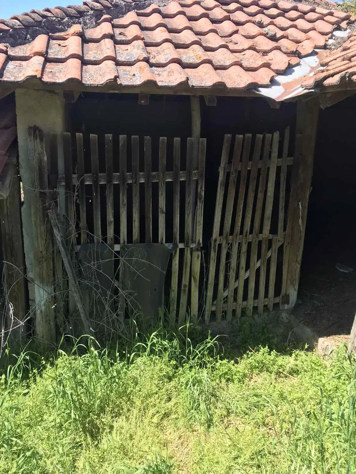 Authentiek 100 jaar oud landelijk huis + 1.006 m² grond in Glavan, Silistra - Bulgarije