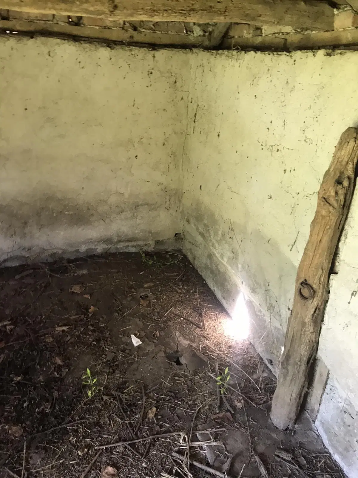 Authentiek 100 jaar oud landelijk huis + 1.006 m² grond in Glavan, Silistra - Bulgarije
