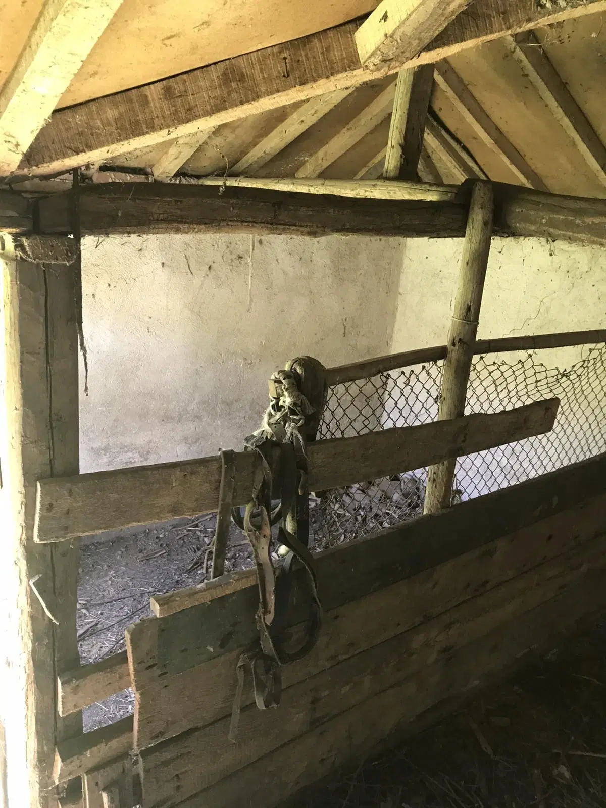 Authentiek 100 jaar oud landelijk huis + 1.006 m² grond in Glavan, Silistra - Bulgarije