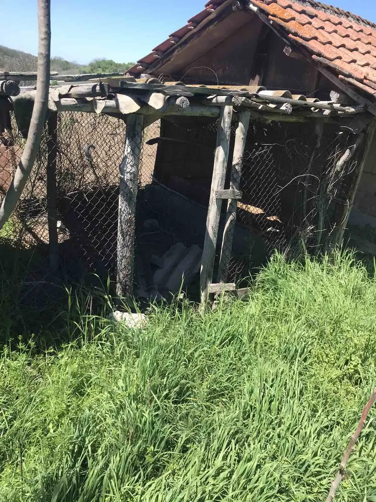 Authentiek 100 jaar oud landelijk huis + 1.006 m² grond in Glavan, Silistra - Bulgarije